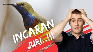 Materi sogon yang paling dicari juri..!!!