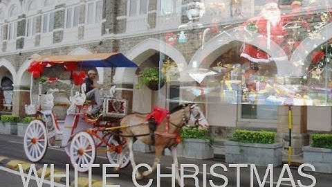 Thumbnail of 🌲Meghan Trainor Christmas Song - White Christmas❄