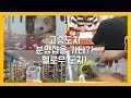 고슴도치 분양샵을 가다?! 헬로우도치! (Go to Hedgehog shop?! Hello hedgehog!)