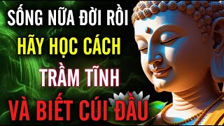 Sống Nửa Đời Rồi - Hãy Học Cách Trầm Tĩnh, Và Biết Cúi Đầu Để  Thấy Trời Cao | MỘT ĐỜI AN NHIÊN