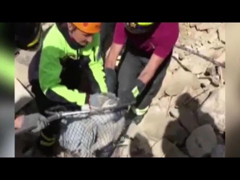 Video: Pet Scoop: Cat najdemo živo v ruševinah iz italijanskega Quakea, Dog's Barks Save Elderly Owner