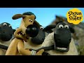 Shaun the Sheep 🐑 Sheep Drama - Cartoons for Kids 🐑 Full Episodes Compilation [1 hour]