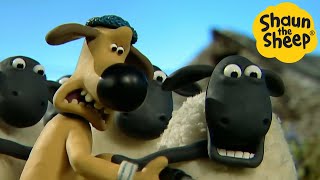 Shaun the Sheep  Sheep Drama  Cartoons for Kids  Full Episodes Compilation [1 hour]