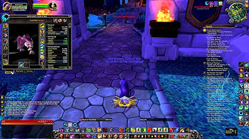 Feral 6.2 PVP GUIDE!! Glyphs Talents Macros, everything you need to know