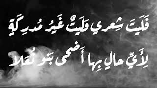 #حاتم الطائي - مهلا نوار اقلي اللوم والعذلا