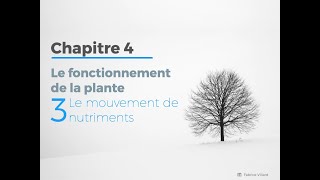 4.3 - Transport des nutriments dans la plante