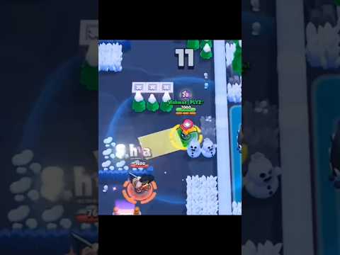 new bug with