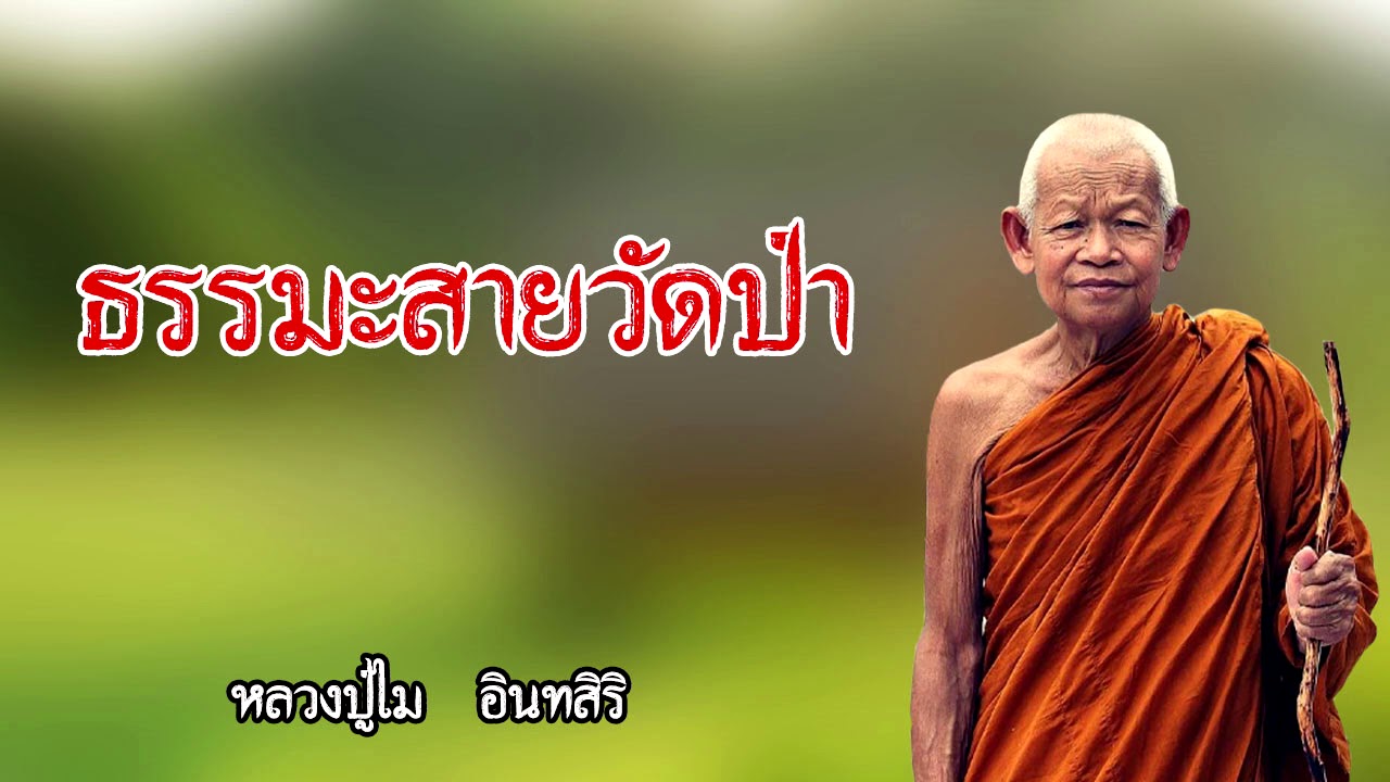 หลักปฏิบัติธรรมะสายวัดป่า หลวงปู่ไม  อินทสิริ