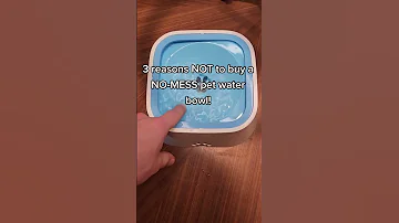 3 Reasons NOT To Buy A NO MESS Pet Water Bowl 