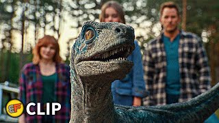 Beta Reunites With Blue - Ending Scene | Jurassic World Dominion (2022) Movie Clip HD 4K Resimi