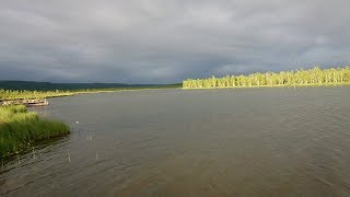 видео: Часть 2 / оз. Боровое (Плахино) 2018 картинка: Часть 2 / оз. Боровое (Плахино) 2018