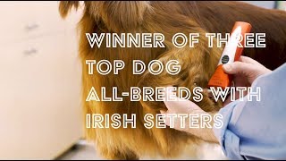 The Irish Setter Trim with Will Alexander: Available Now!