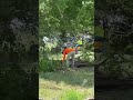 #treelife #fencing #cows https://www.texastreetrimmers.com