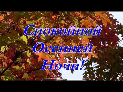 Спокойной Осенней ночи! Приятных снов!!! 🍂🍂🍂