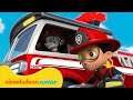 Paw patrol  la pat patrouille  les meilleurs sauvetages de chase et marcus   nickelodeon jr