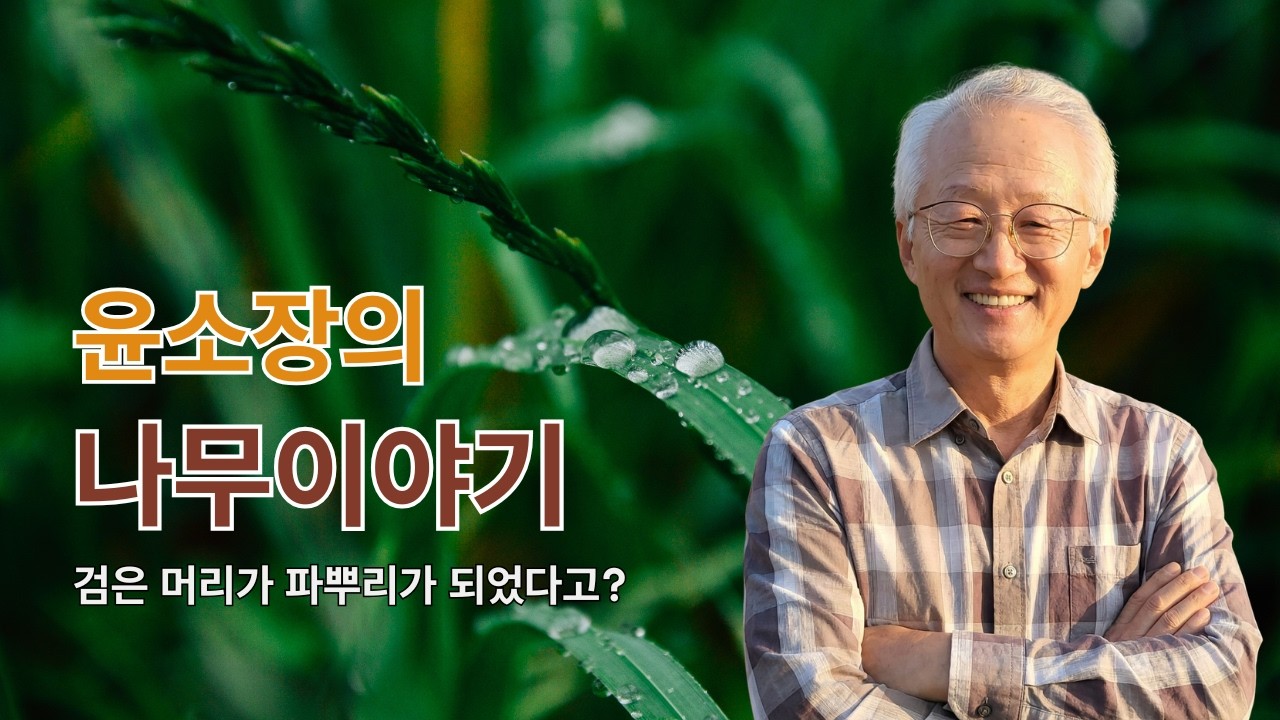 윤소장의 나무이야기_검은머리가 파뿌리가 되었다고?