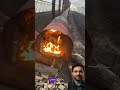 كيف تتحول البرودة إلى دفء داخل البيوت البلاستيكية الزراعة البيوت البلاستيكية عالم التطور والذكاء