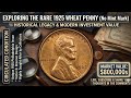 Rare Coin Jackpot: 1925 Wheat Penny Hits $800,000 in Market!