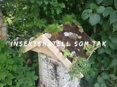 Video: Trädgårdstak