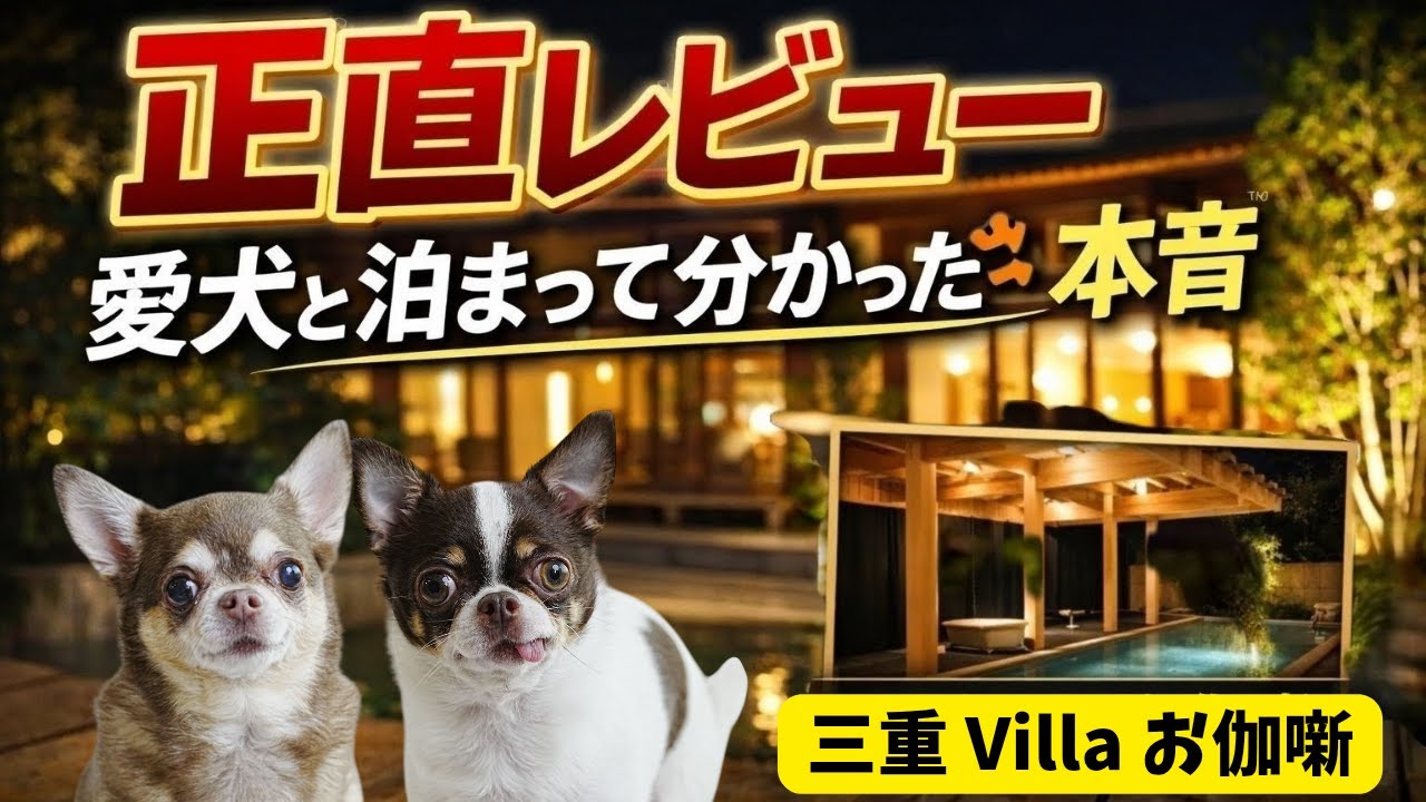 想像以上だった・・・愛犬と泊まる三重のヴィラ宿【Villaお伽噺】正直レビュー