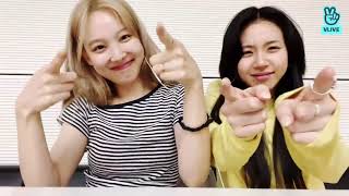 nayeon and chaeyoung vibin to love countdown Resimi