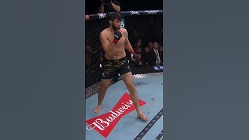 Alex Pereira KOs Magomed Ankalaev!