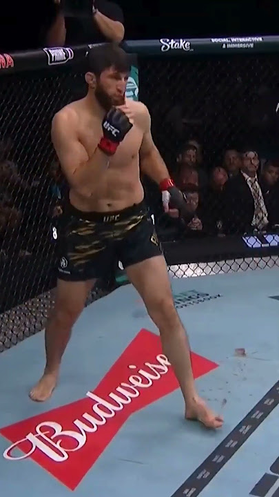 Alex Pereira KOs Magomed Ankalaev!