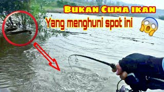 Nekat Mancing Disini..!! Sang Penghuni Spot Terganggu || Mancing Casting Ikan Hampala