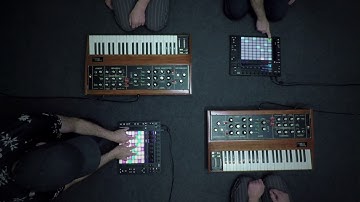 skinnerbox: one-shot-multiplicity (ableton push, minimoog)