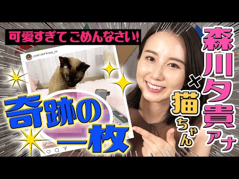 【森川夕貴アナ×猫ちゃん🐱】映えグッズを使って🤳奇跡の1枚を激写‼️