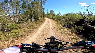 Beautiful weather ✔ Swedish nature ✔ Bikes ✔