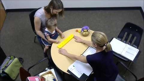 Bayley example: fine motor skills part 1