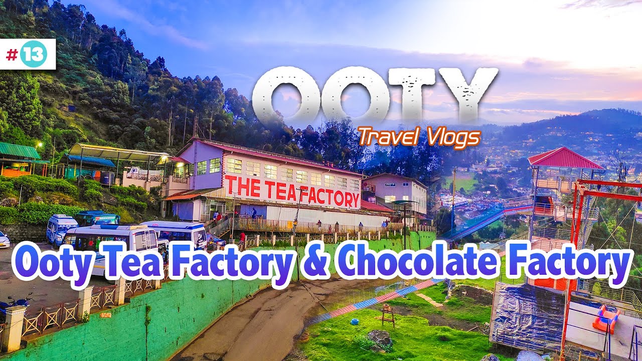 Ooty Tea Factory Tour Chocolate Factory Ooty Tea Museum Best ooty-tea-factory-tour-chocolate-factory-ooty-tea-museum-best