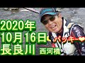 鮎釣り　長良川　釣果　小澤剛　友釣り無双