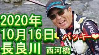 鮎釣り　長良川　釣果　小澤剛　友釣り無双