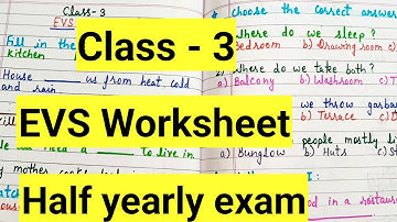 Class 3 evs half yearly exam Question Paper 2024-25 | Class 3 Exam Paper evs worksheet | part 2