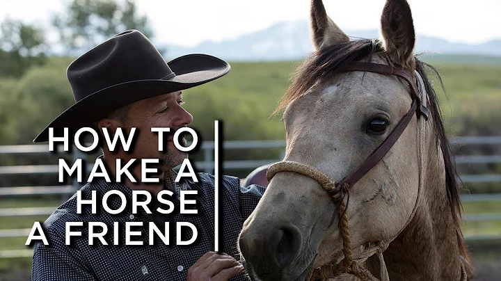 How to make a horse a friend. One cowboy's partnership with horses - DayDayNews