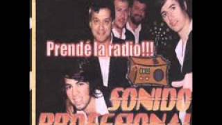 Video thumbnail of "Sonido profesional - el tren del olvido"