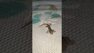 New Born 24 November 2024