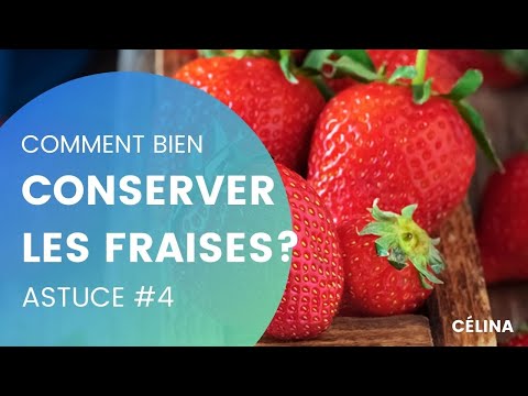 La meilleure façon de conserver les fraises est au réfrigérateur dans un récipient avec des trous au fond pour qu’elles puissent respirer