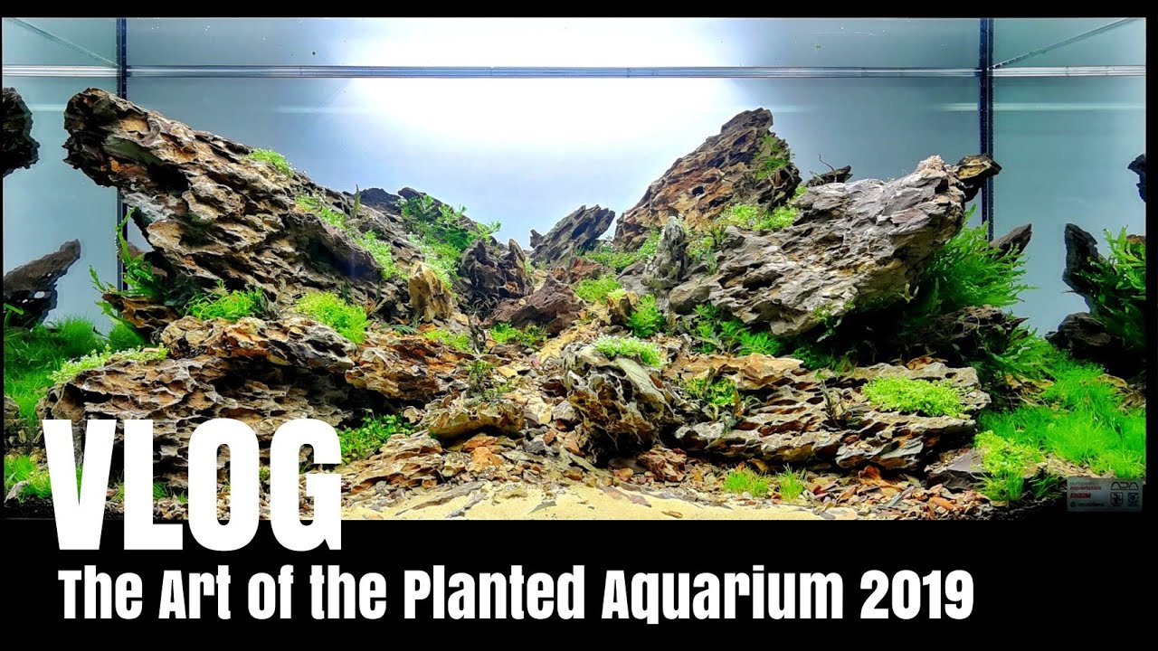 VLOG - The Art of the Planted Aquarium 2019 - Magdeburg, Germany 