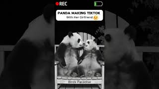 What's REALLY Behind Panda's TIKTOK CCTV LEAK? #viral
