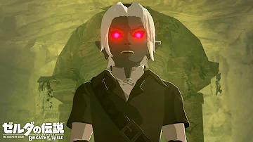 キヨゼルダの伝説ブレスオブザワイルドダークリンク