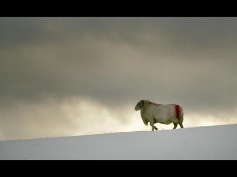 Video: Snowdonia Ulusal Parkı: Eksiksiz Kılavuz