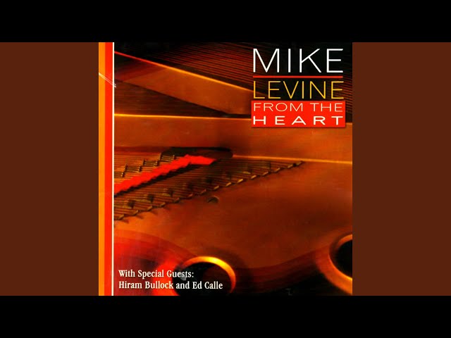 Mike Levine - JUST PASSIN BY