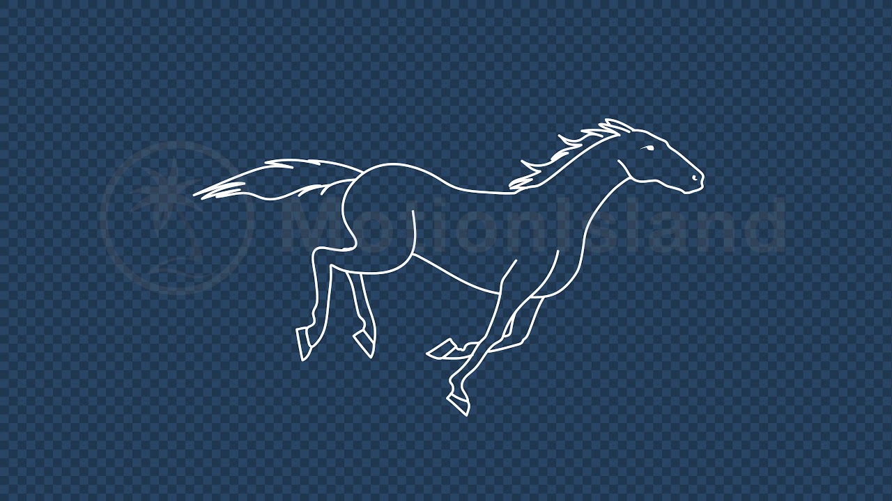 Horse Galloping Outline Animation Loop | Footage and After Effects project  🐎 - YouTube