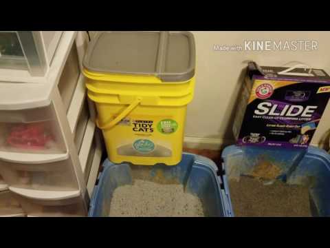 smiley360-/-arm-and-hammer-slide-cat-litter-review