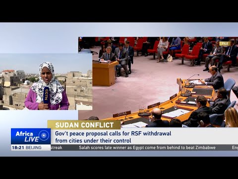 Sudan government peace proposal discussed at UN Security Council