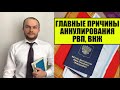 ГЛАВНЫЕ ПРИЧИНЫ АННУЛИРОВАНИЯ РВП, ВНЖ России в 2024 году.  Миграционный юрист