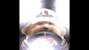 Playing a random ultrakill custom level daily until I run out of levels on the wheel, Day 26